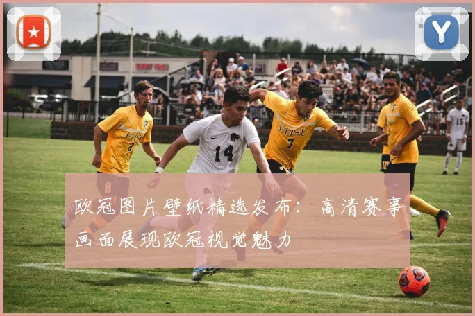 欧冠图片壁纸精选发布:高清赛事画面展现欧冠视觉魅力
