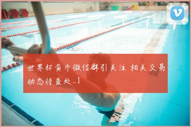 世界杯黄牛微信群引关注 相关交易动态待查处_1