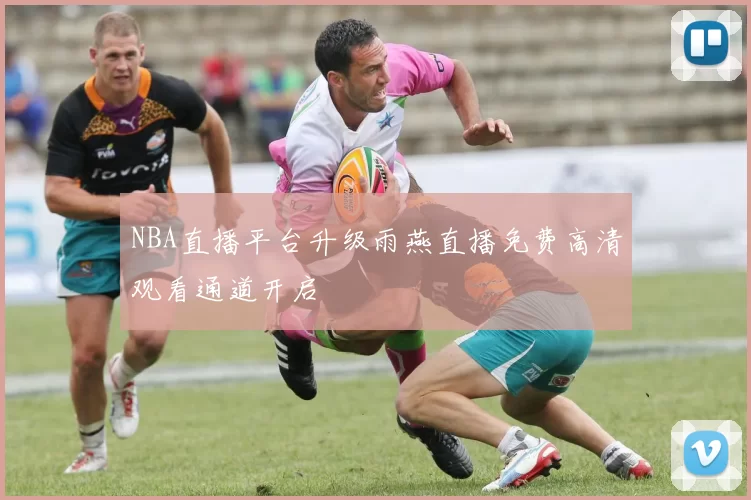 NBA直播平台升级雨燕直播免费高清观看通道开启