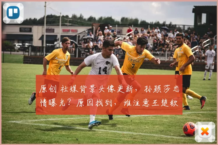 原创 社媒背景头像更新，孙颖莎恋情曝光？原因找到，谁注意王楚钦表态