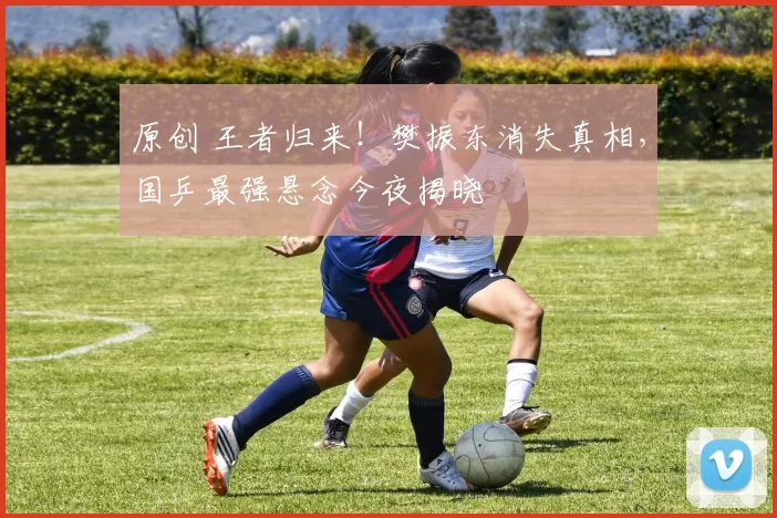 原创 王者归来！樊振东消失真相，国乒最强悬念今夜揭晓