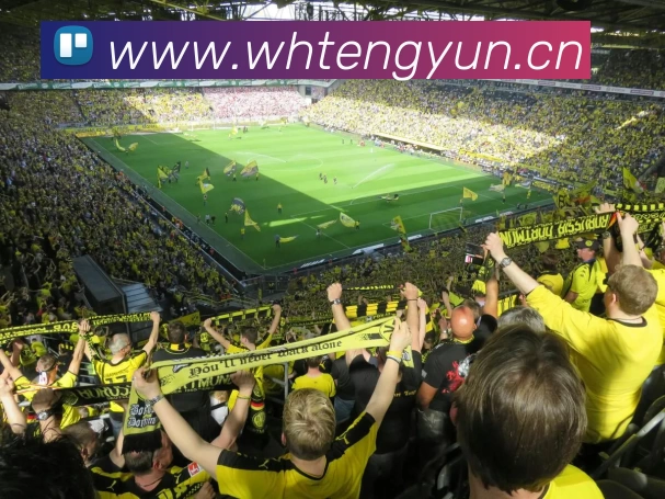 多媒体互动体验